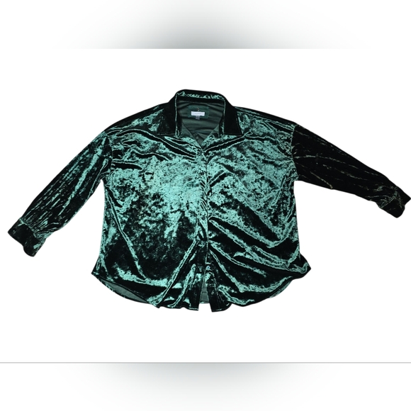 Cupio Emerald Velvet Blouse 2X Long Sleeve Festive/Workwear Button Down - Picture 1 of 10